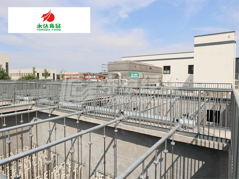 永達集團·淇縣鴻磊項目2100m3/d調理品加工廢水處理工程